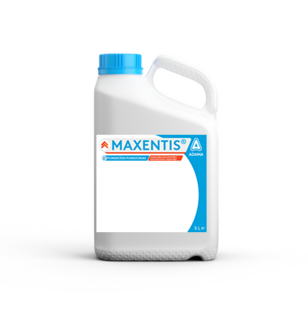 Maxentis
