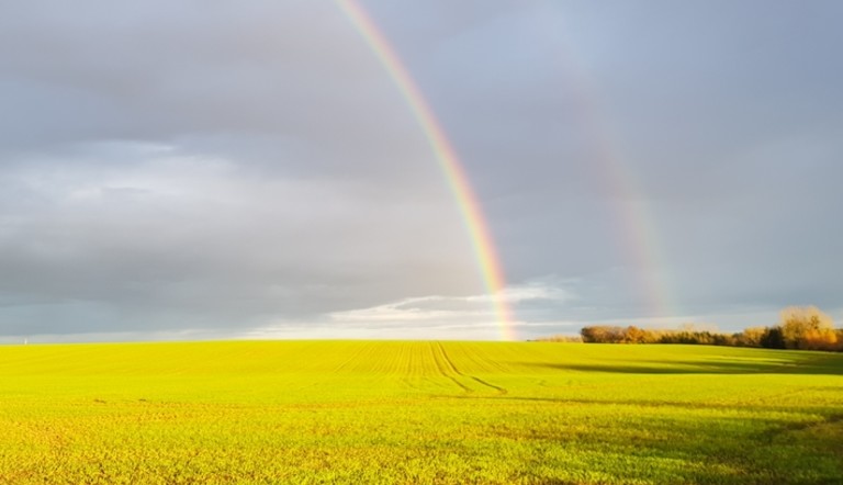 Parcelle de céréales à l'automne avec arc-en-ciel
