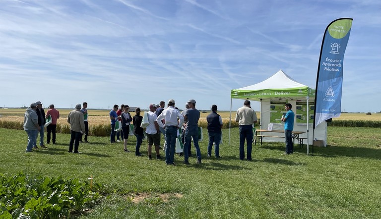 Graines d'Avenir 2 stand colza