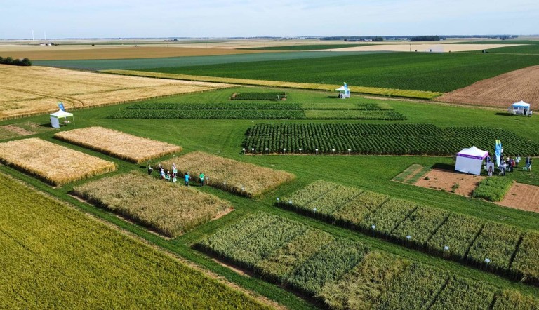 Graines d'Avenir 2 vue en hauteur