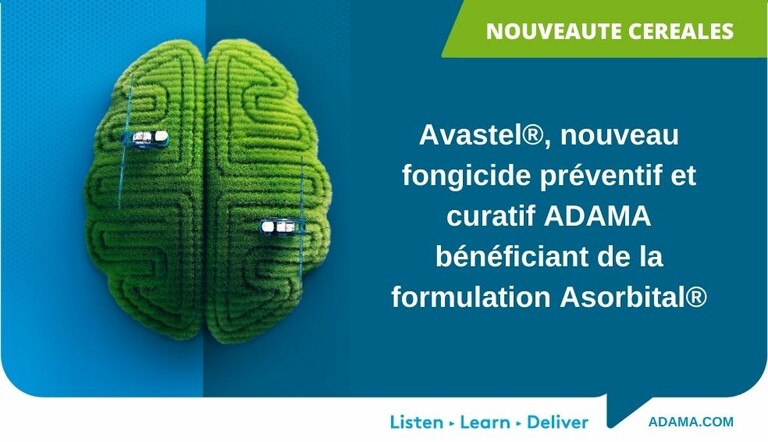 Communique de presse Avastel Juillet 2024