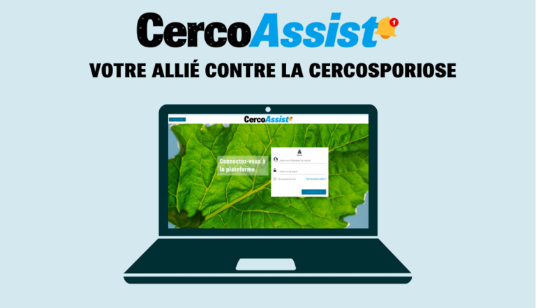 Visuel CercoAssist OAD sur ordinateur