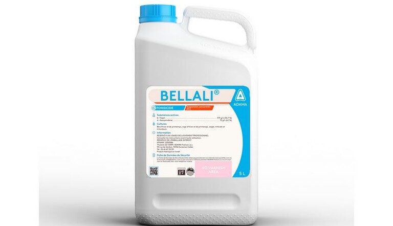 Bidon Bellali