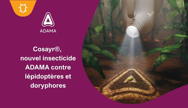 Cosayr homologué sur lépidoptères et doryphores