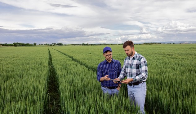 Agriculteur et conseil service dans les céréales