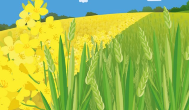 Visuel_Pollinisateurs