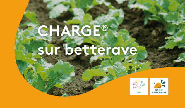 Charge sur betteraves essais 2023