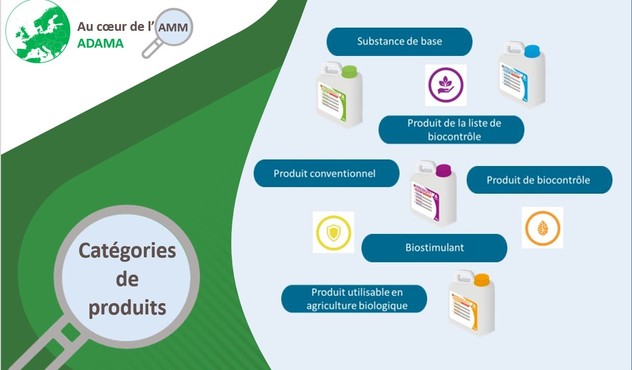 Les différents types de produits phytosanitaires