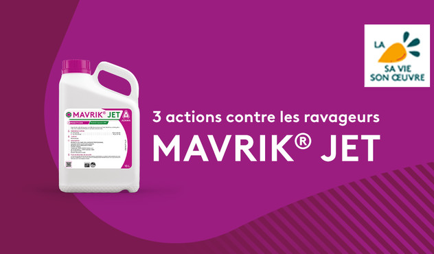 Mavrik Jet contre pucerons de la betterave