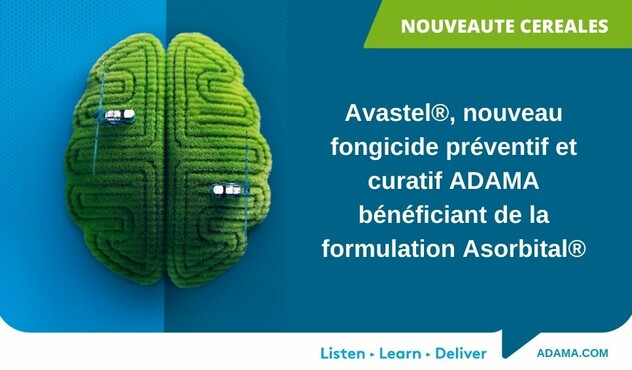 Communique de presse Avastel Juillet 2024