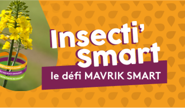 Jeu Smart Automne 2024 Jeu Smart Automne 2024