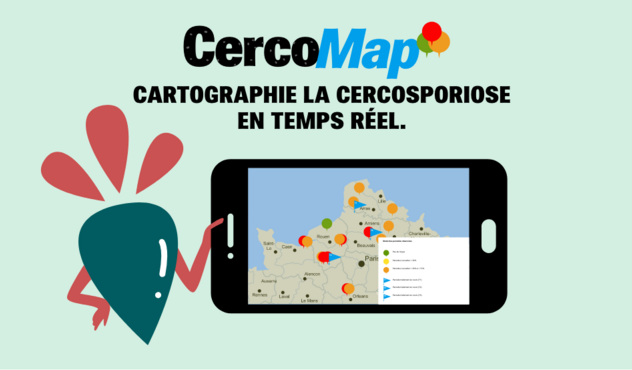 Visuel CercoMap cartographie de la cercosporiose des betteraves