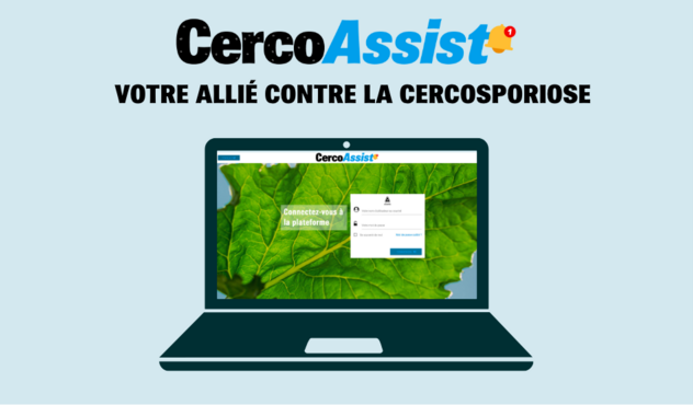 Visuel CercoAssist OAD sur ordinateur