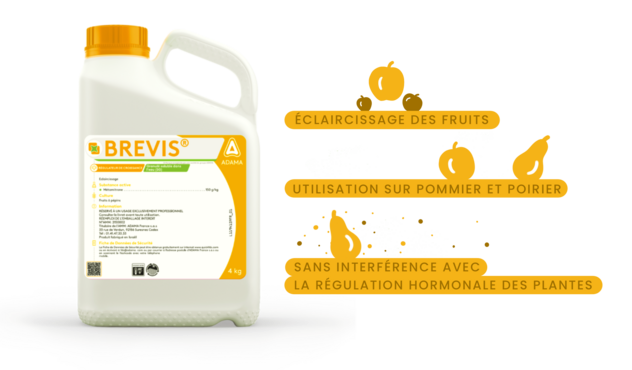 BREVIS