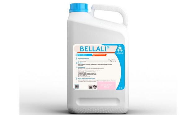 Bidon Bellali