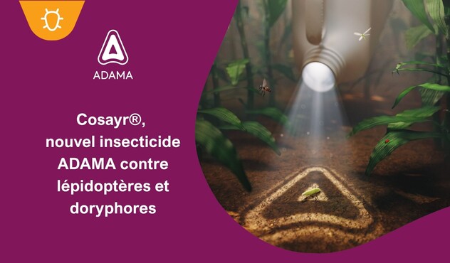 Cosayr homologué sur lépidoptères et doryphores