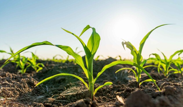 image-pilier-innovation