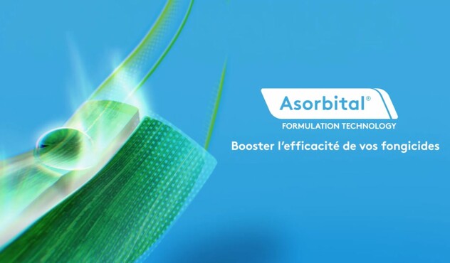 Vidéo Asorbital booster l'efficacité de vos fongicides céréales