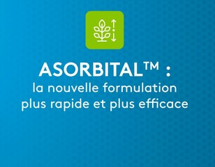 Asorbital ameliore absorption