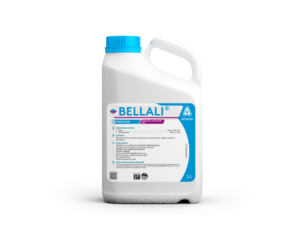 BELLALI