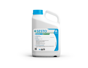 SESTO