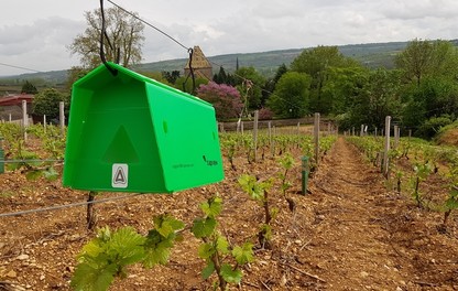 Pièges trapview