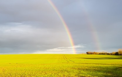 Parcelle de céréales à l'automne avec arc-en-ciel
