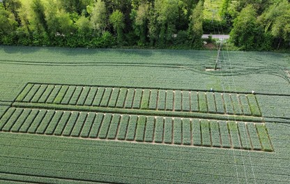 Essais techniques sur céréales