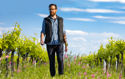 Guide auxiliaires Vigne