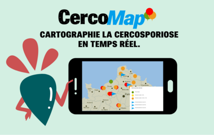 Visuel CercoMap cartographie de la cercosporiose des betteraves