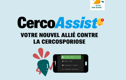Visuel CercoAssist allié contre la cercosporiose des betteraves