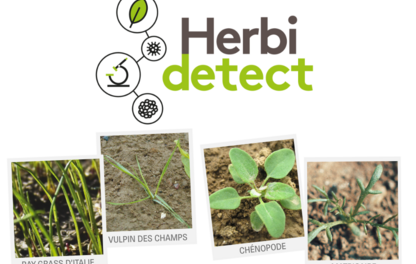 Herbidetect, service pour détecter les adventices résistantes