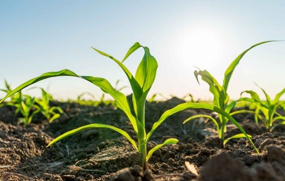 image-pilier-innovation