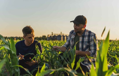 image-pilier-maitrise