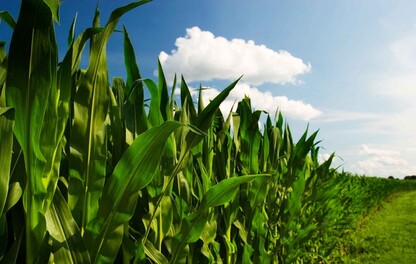 images-pilier-adaptabilite