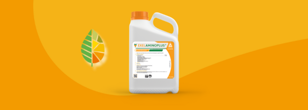 Visuel ExelAminoPlus Biostimulant