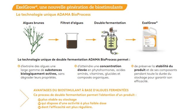 ExelGrow_nouvelle_generation_de_biostimulants