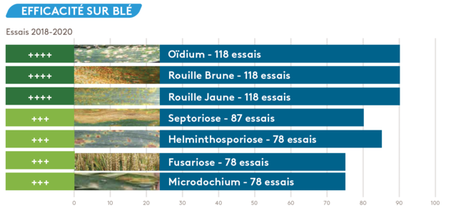 Maxentis efficacité blé