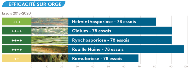 Maxentis efficacité orge