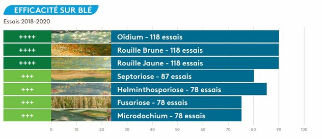 Sideral Efficacité blés