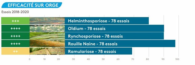 Sideral Efficacité Orges