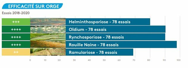 Vedette Efficacité Orges
