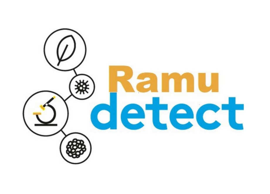 Logo RamuDetect Logo RamuDetect