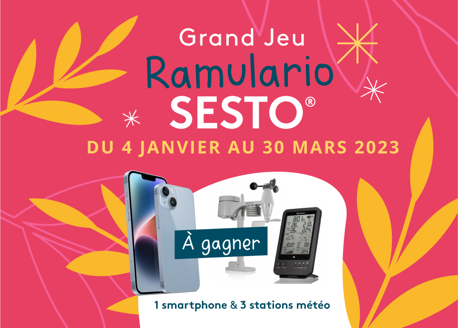 Jeu Ramulario Sesto 2023