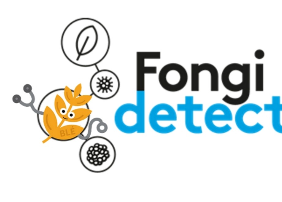 Logo FongiDetect Blé Logo FongiDetect Blé