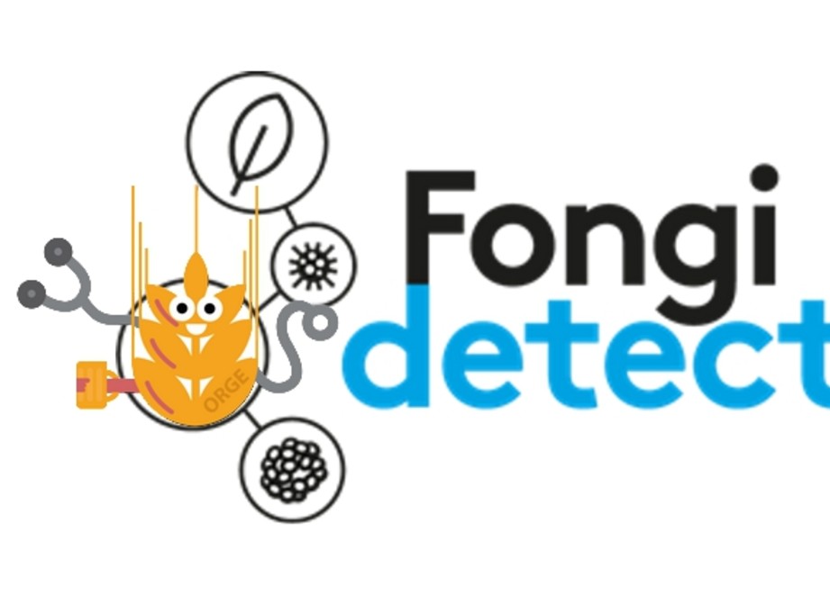 Logo FongiDetect Orge Logo FongiDetect Orge