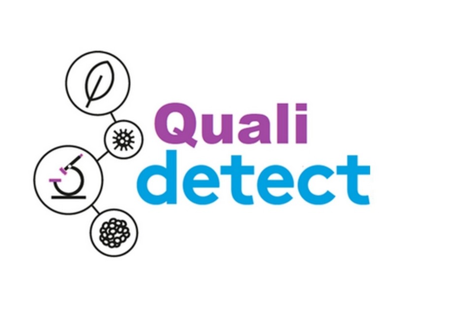 Logo Qualidetect