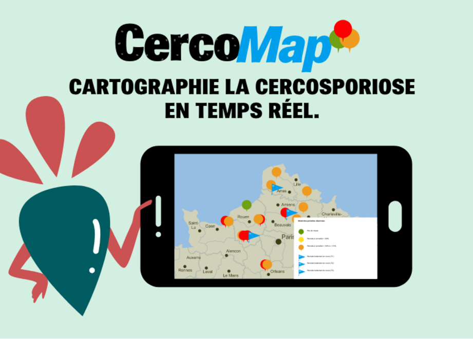 Visuel CercoMap cartographie de la cercosporiose des betteraves Visuel CercoMap cartographie de la cercosporiose des betteraves