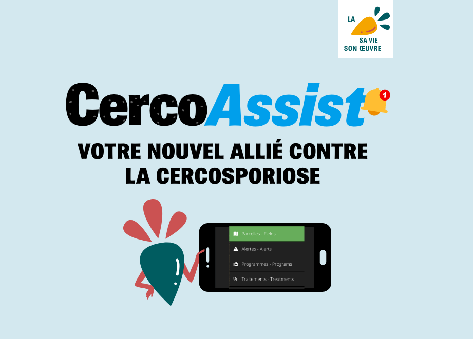 Visuel CercoAssist allié contre la cercosporiose des betteraves Visuel CercoAssist allié contre la cercosporiose des betteraves