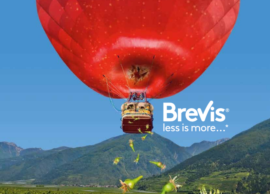 BREVIS less is more